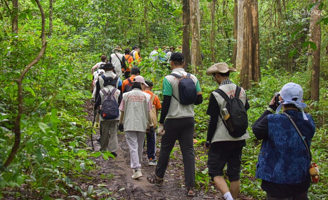 Cùng nhau đi bộ dưới những tán cây Cùng nhau đi bộ dưới những tán cây