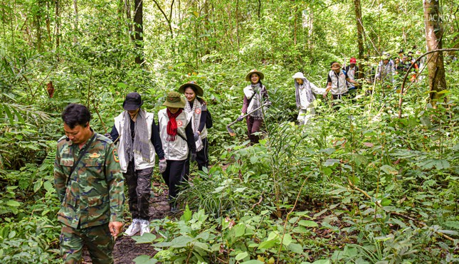 Trải nghiệm khám phá vẻ đẹp của hệ sinh thái Khu bảo tồn thiên nhiên núi Ông Trải nghiệm khám phá vẻ đẹp của hệ sinh thái Khu bảo tồn thiên nhiên núi Ông