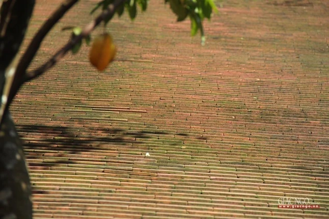 Mái chùa được lợp bằng ngói liệt truyền thống Huế bắt đầu nhuốm màu rêu phong