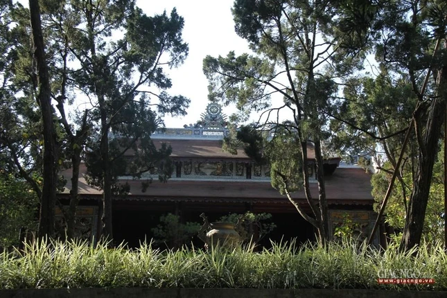 Ẩn mình trong thiên nhiên