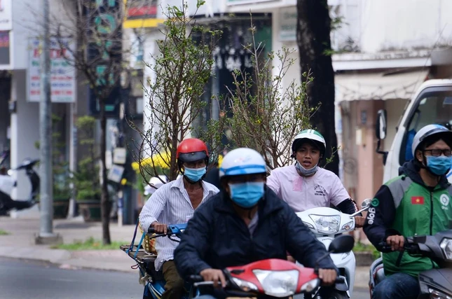 Cảnh ít tập nập như năm trước Cảnh ít tập nập như năm trước