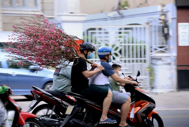 Tranh thủ mang xuân về nhà Tranh thủ mang xuân về nhà