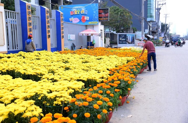 Các điểm bán hoa Tết vắng người so với những năm trước, dù đã 26 Tết