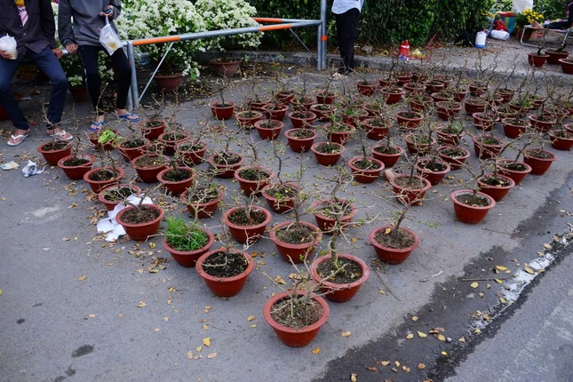 Nhiều điểm có người bán những vắng người mua Nhiều điểm có người bán những vắng người mua