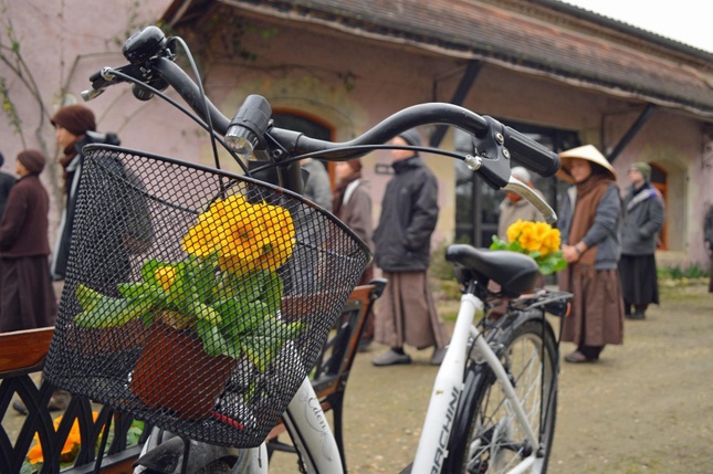 Mỗi năm tại Đạo Tràng Mai Thôn tổ chức nhiều khóa tu