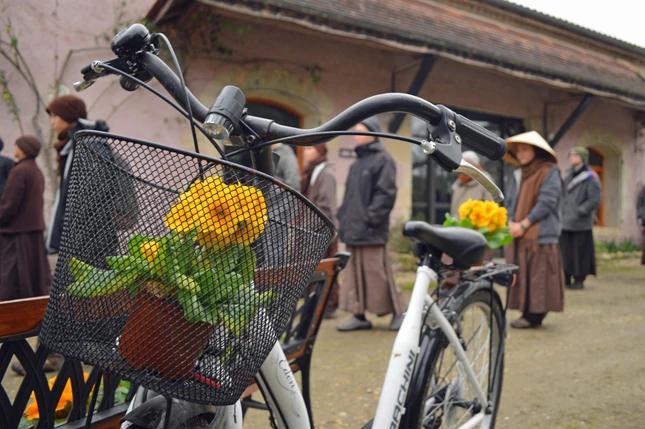 Mỗi năm tại Đạo Tràng Mai Thôn tổ chức nhiều khóa tu