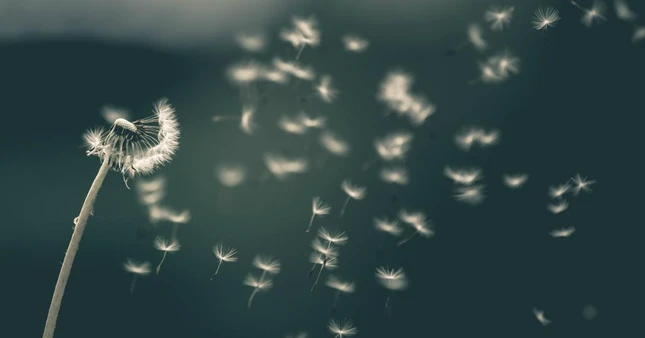 Do trực nhận được tính vô thường của đối tượng, hành giả giải phóng ý niệm bám víu và mong cho những gì mình yêu thích được vĩnh cửu, và kết quả là khổ đau, thất vọng, sầu muộn và sợ hãi được đoạn trừ hoàn toàn... Do trực nhận được tính vô thường của đối tượng, hành giả giải phóng ý niệm bám víu và mong cho những gì mình yêu thích được vĩnh cửu, và kết quả là khổ đau, thất vọng, sầu muộn và sợ hãi được đoạn trừ hoàn toàn...