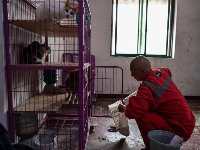 Thầy tự tay chăm sóc những con vật bị người ta bỏ rơi, bị đói và bệnh tật