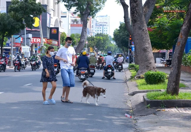 Trên nguyên tắc thực hiện nghiêm chỉ đạo của Chính phủ để triển khai từng bước thận trọng, chặt chẽ, chắc chắn theo phương châm "An toàn là trên hết", "An toàn tới đâu mở cửa tới đó, mở cửa thì phải an toàn", chỉ thị mới của thành phố nhằm đưa sinh hoạt của người dân bước sang trạng thái bình thường mới, tuy nhiên, các ngành nghề được hoạt động theo thứ tự ưu tiên, có lộ trình, theo danh mục cụ thể; người dân không đồng loạt ra đường