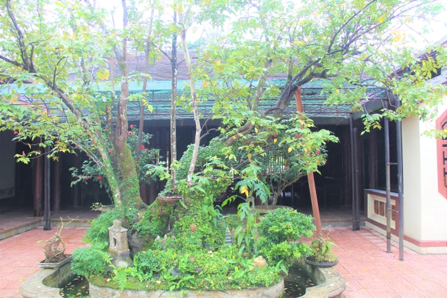 Cây khế sau hậu Tổ