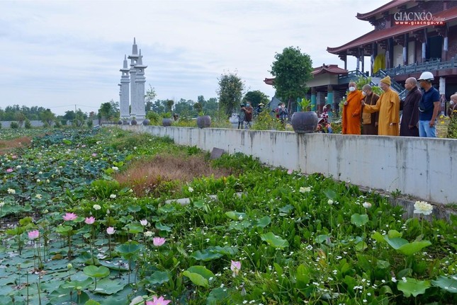Hồ sen trước chánh điện mới