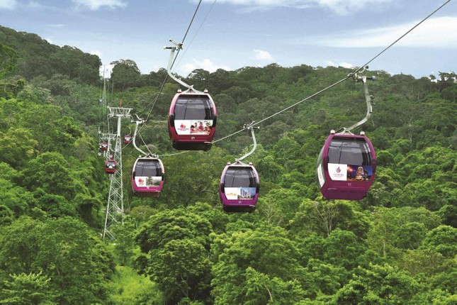 Hệ thống cáp treo hiện đại theo tiêu chuẩn Châu Âu