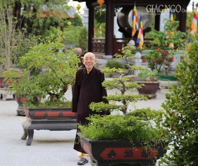 Nụ cười an lạc - Ảnh: Nguyễn Văn Thịnh Nụ cười an lạc - Ảnh: Nguyễn Văn Thịnh