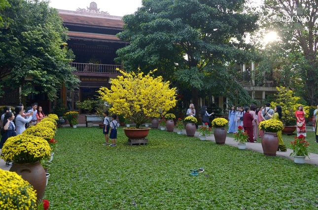 Không khí sáng mùng 1 Tết Quý Mão - 2023 tại TP.HCM trong lành