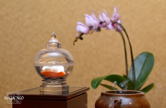 Xá-lợi xương Bồ-tát Thích Quảng Đức tôn thờ tại tháp Đa Bảo