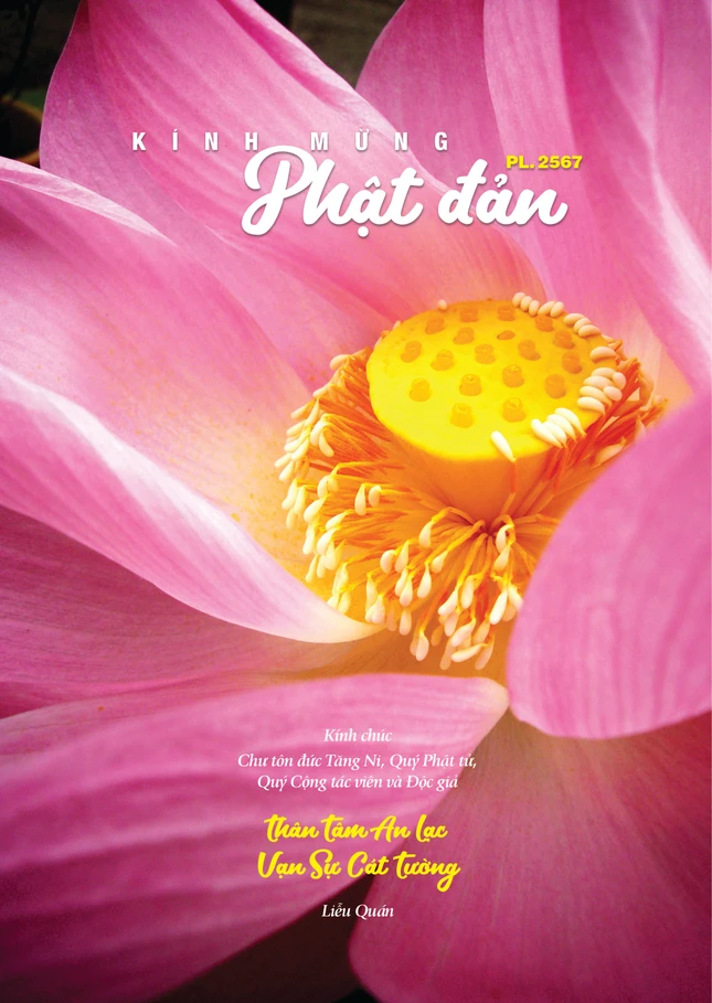 Mỹ thuật: Mai Quế Vũ