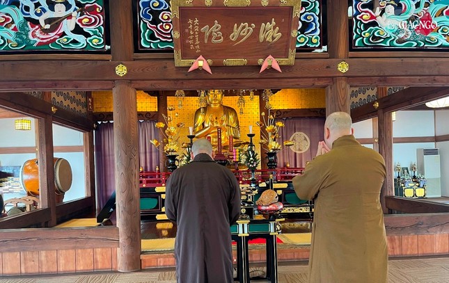 Lễ Phật tại chánh điện chùa Tịnh An Lễ Phật tại chánh điện chùa Tịnh An