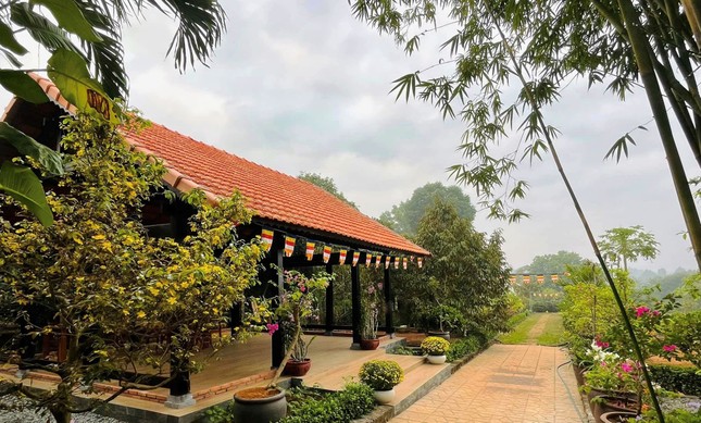 Ảnh: Tịnh Cốc Trà Ảnh: Tịnh Cốc Trà