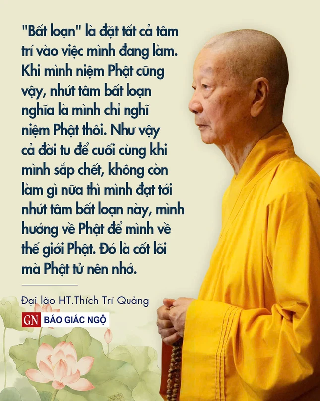 Thiết kế: Hoa Đạo/BGN