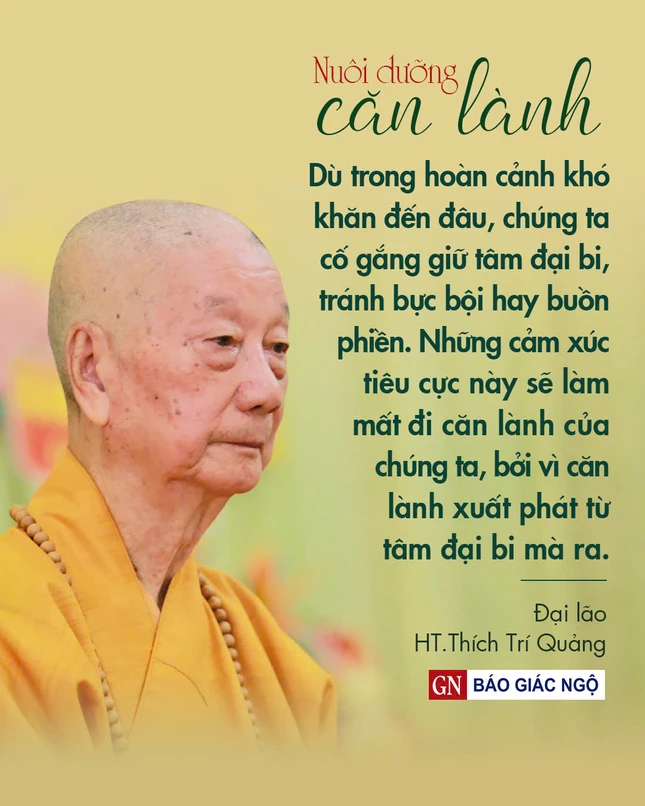 Thiết kế: Hoa Đạo/BGN