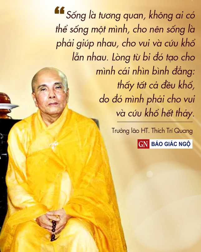 Thiết kế: Hoa Đạo
