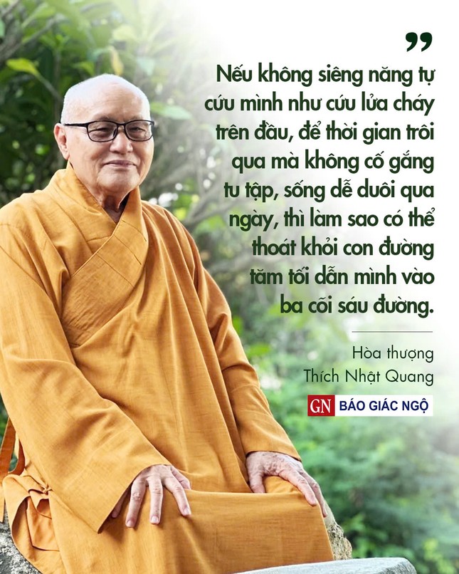 Thiết kế: Hoa Đạo