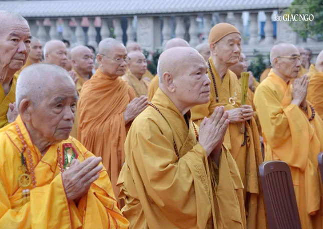 Trưởng lão Hòa thượng Thích Thiện Nhơn, Trưởng lão Hòa thượng Thích Đức Thanh...