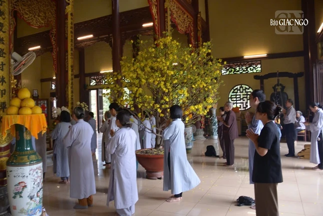 Sắc xuân nơi thiền viện Vạn Hạnh chuẩn bị đón năm mới Bính Ngọ 2026 Sắc xuân nơi thiền viện Vạn Hạnh chuẩn bị đón năm mới Bính Ngọ 2026