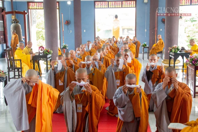 Đãy lọc nước là đồ hành từ hộ sanh