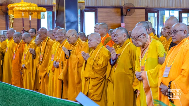 Phút nhập từ bi quán