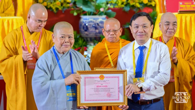 Ni trưởng Thích nữ Tịnh Nghiêm, Chứng minh Phân ban Ni giới tỉnh