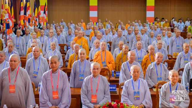 Đại biểu trong nghi thức chào Quốc kỳ, Đạo kỳ