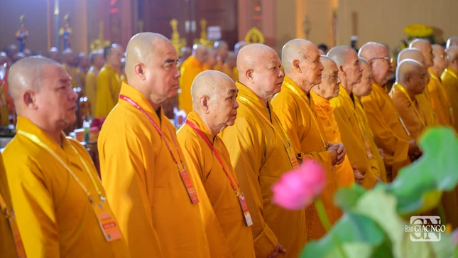 Chư tôn đức thực hiện nghi thức chào cờ