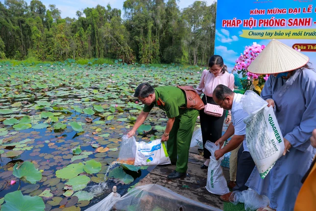 Thả cá phóng sanh