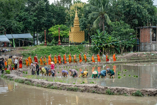 Người lớn, thanh niên và các em nhỏ cùng tham gia cấy mạ, tạo nên không khí gần gũi trên đồng ruộng