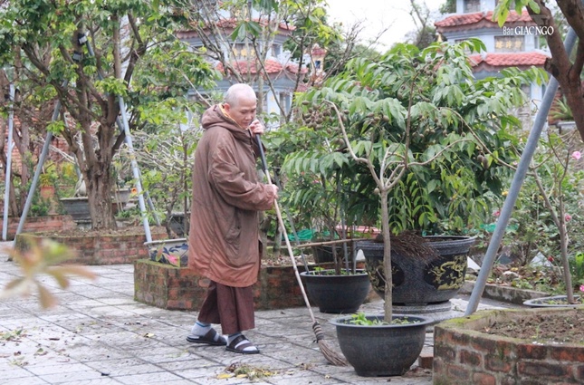 "Các vị đến thăm chùa làm chúng con bỗng nhớ tới Sư bà, hồi tưởng lúc Sư bà còn tại thế, khách khứa tới lui thăm viếng” "Các vị đến thăm chùa làm chúng con bỗng nhớ tới Sư bà, hồi tưởng lúc Sư bà còn tại thế, khách khứa tới lui thăm viếng”