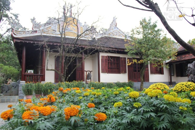 Hoa khoe sắc bên thềm tổ đình Từ Hiếu