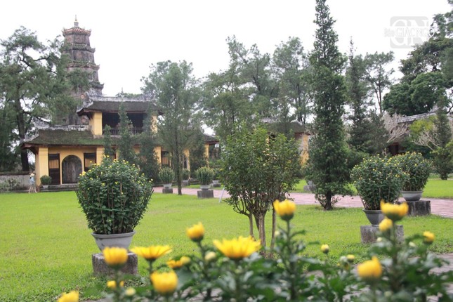 Sắc xuân tại chùa Thiên Mụ