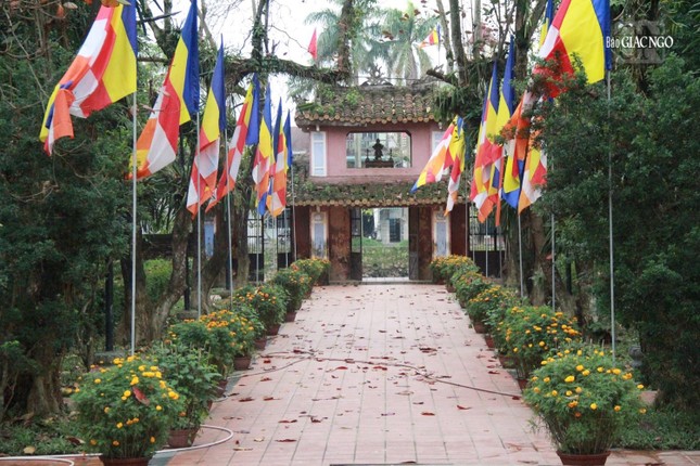 Rực rỡ cờ Phật giáo và hoa xuân dọc lối vào Diệu Đế Quốc tự