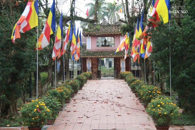 Rực rỡ cờ Phật giáo và hoa xuân dọc lối vào Diệu Đế Quốc tự