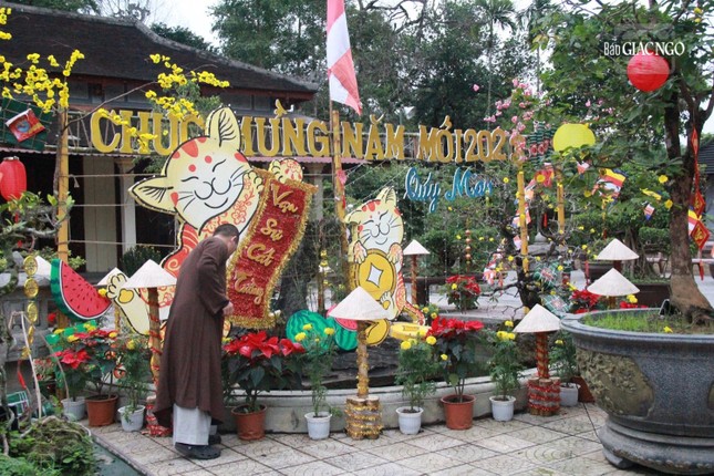 Trang hoàng rực rỡ đón xuân