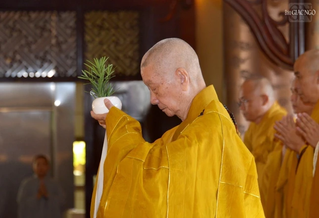 Cử nhành dương nước tịnh