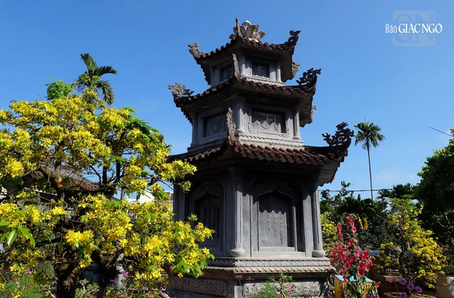 Những ngày đầu xuân, khuôn viên ngôi cổ tự rực rỡ thêm với sắc mai vàng và nhiều loại hoa được vun trồng trên những cánh đồng, làng mạc xung quanh phố Hội