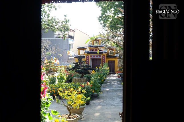 Chùa Viên Giác được sáng lập ở vùng Cẩm Phô, Hội An vào thời chúa Nguyễn, đến thời Tây Sơn thì bị suy tàn do ảnh hưởng chiến cuộc