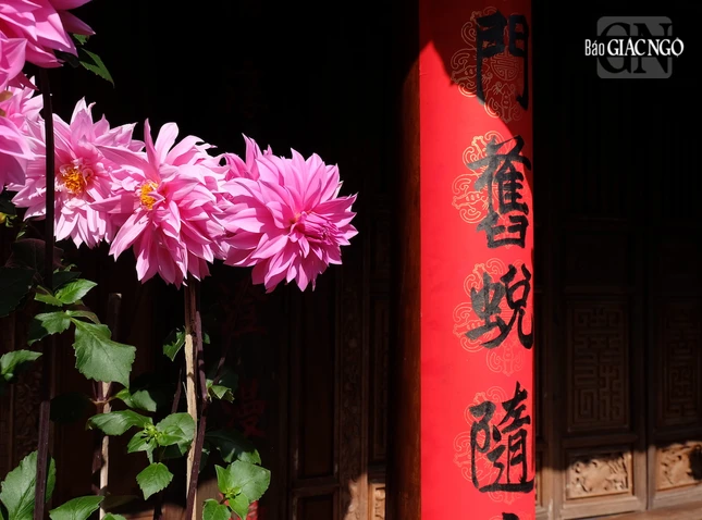 Thời gian như chậm bước trong sắc xuân xưa cũ, tịch lặng chốn thiền môn