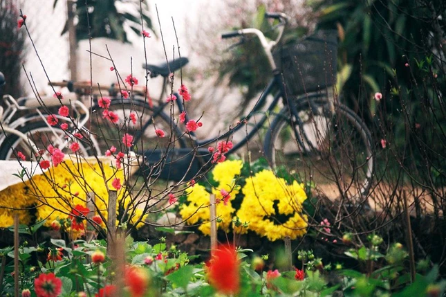 Hạnh phúc đôi khi ở rất gần ta, những niềm vui bình dị góp nhặt dọc đường cũng khiến mình không thấy lẻ loi, và cuộc đời đôi khi đáng yêu vô cùng