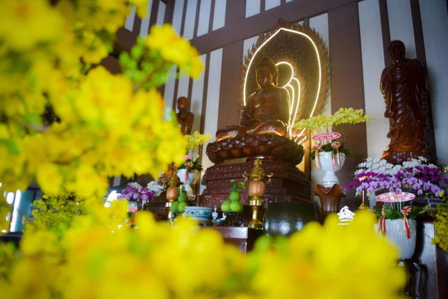 Phật và mùa xuân mới