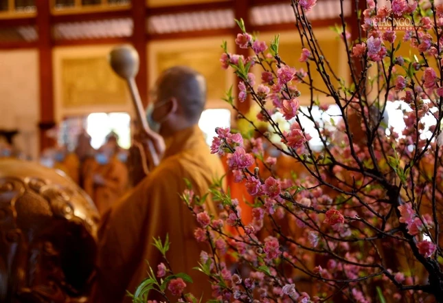 Vào mỗi đầu năm mới, Ban Thường trực BTS Phật giáo TP.HCM đều tổ chức khai đàn Dược Sư Vào mỗi đầu năm mới, Ban Thường trực BTS Phật giáo TP.HCM đều tổ chức khai đàn Dược Sư