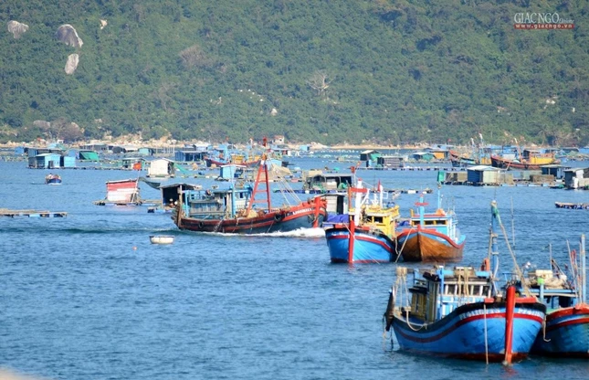 Vịnh Vũng Rô lúc nào cũng tấp nập cả trăm tàu thuyền ra vào từ các ngư trường