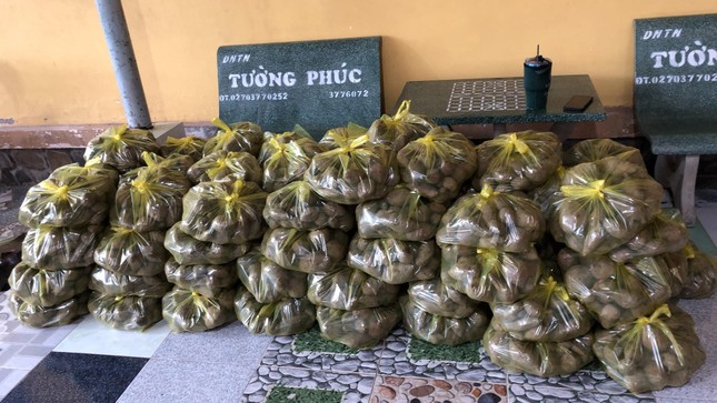 Chùa Phước Nguyên tặng khoai miễn phí tại chùa
